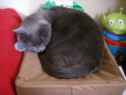 しまむらの物入れ