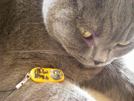 モラッタよ～。１