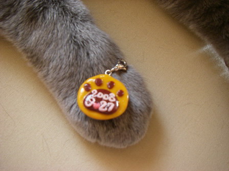 もらったよ～２