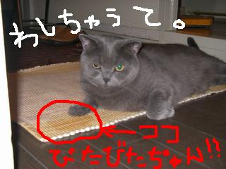 舐めたやろ？
