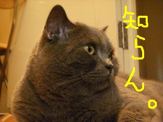 知らん