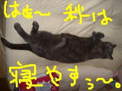 寝やすぅ～。