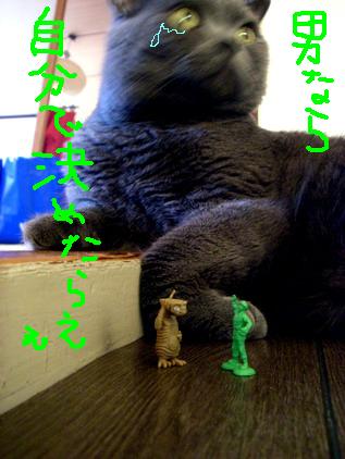 男なら