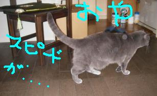 早い？４
