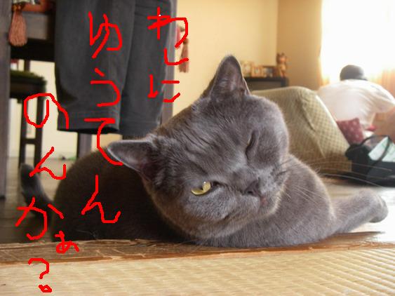 わしに・・・