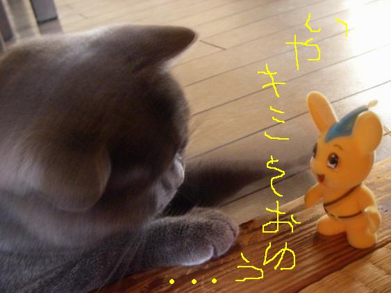 そおゆう