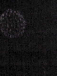 070804_2033~01.JPG