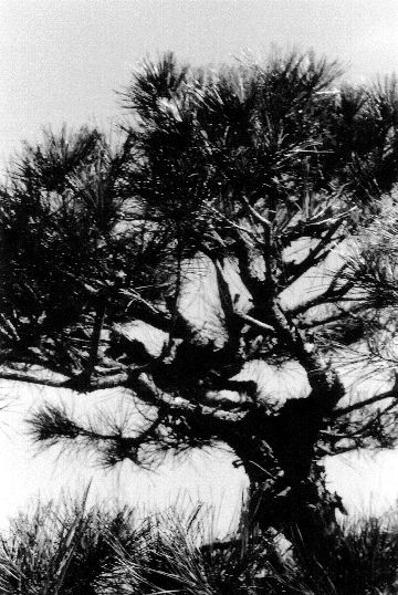 130745973_141.jpg