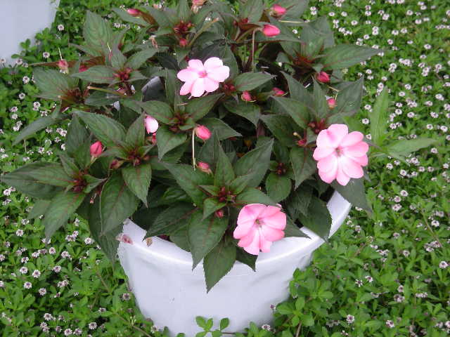 DSCN5637.JPG