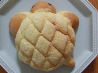 ウミガメメロンパン