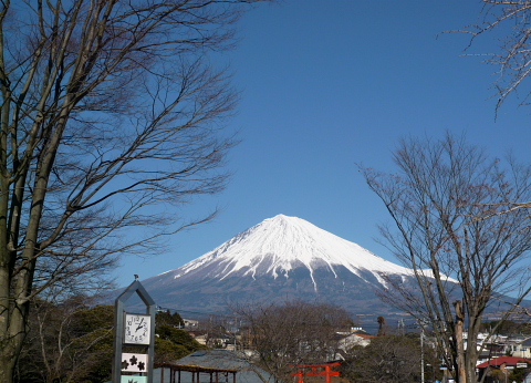 久しぶりの富士山