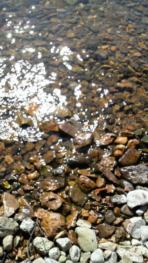 凄く綺麗な水でした