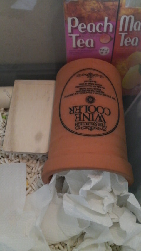 ﾃﾗｺｯﾀの隣に設置！