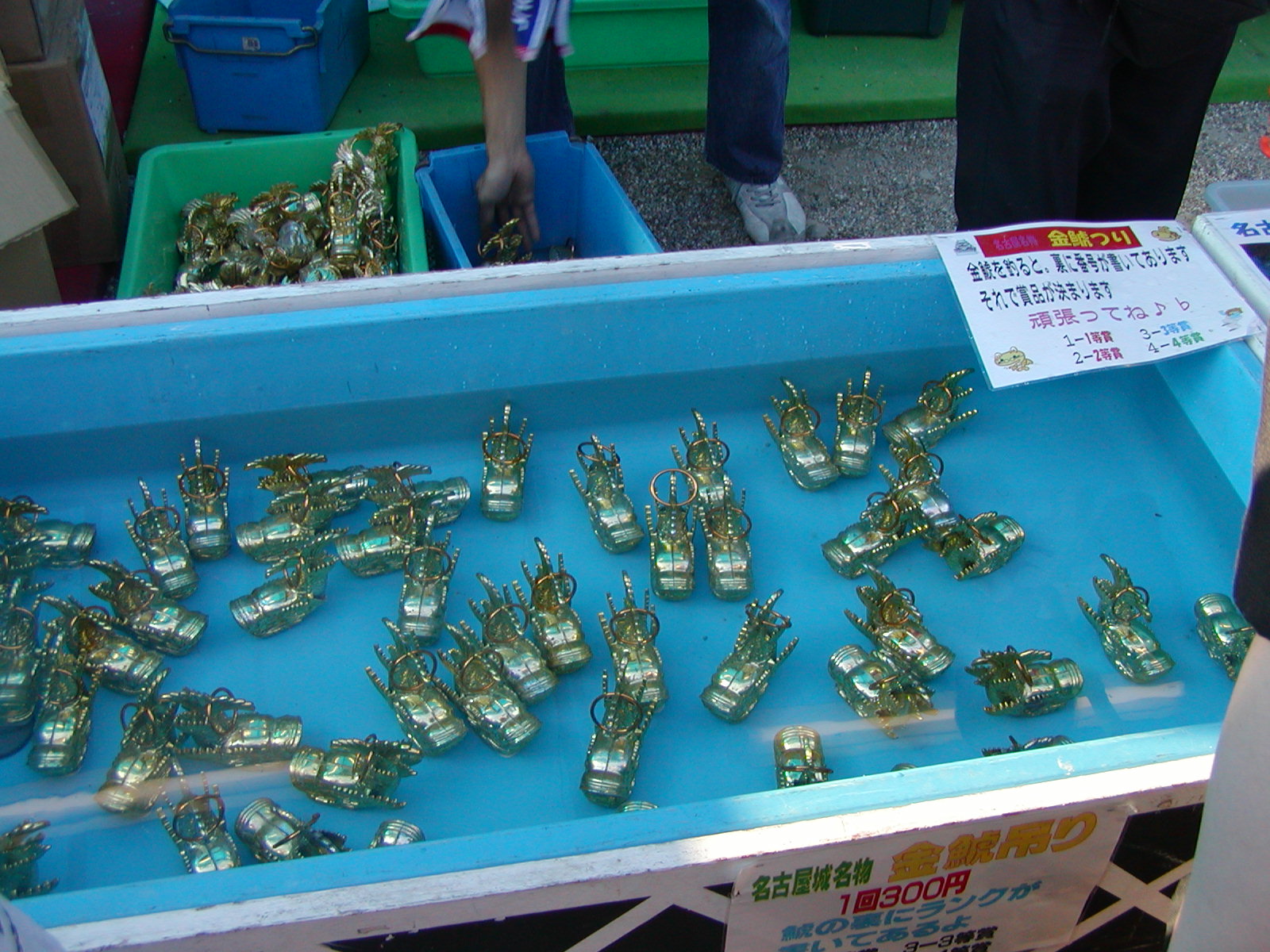 金シャチ釣り？01