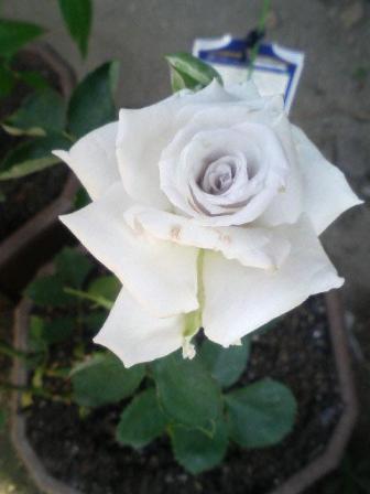 2009-06-28 07:08:10