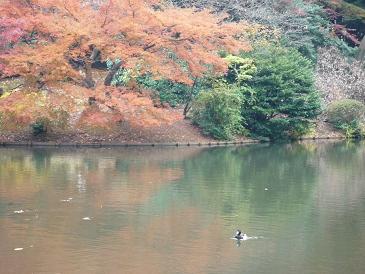 081202四谷恒産 縮小２.JPG