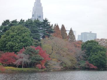 081202四谷恒産 006縮小３.JPG