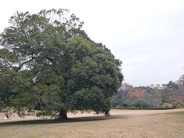 081202四谷恒産 001縮小５.JPG