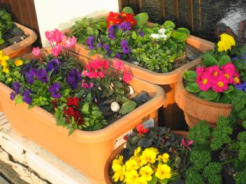 通り沿いのお宅には、心づくしプランターもv