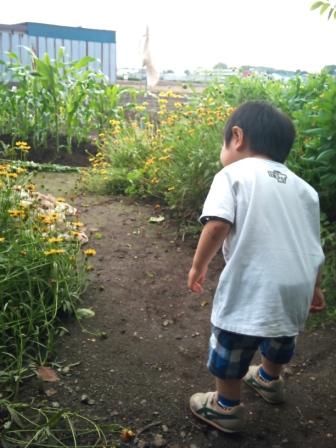 2011-06-14 13.59.39.jpg