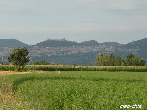 assisi...jpg