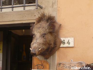 cinghiale.JPG