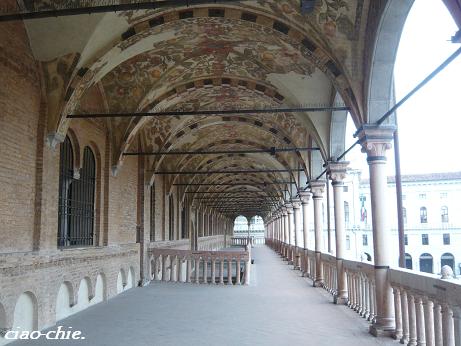 palazzo della Ragione padova.JPG