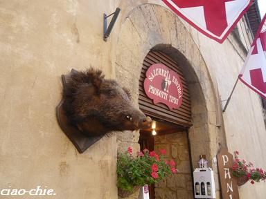 cinghiale..JPG