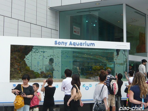 sony aquarium.jpg