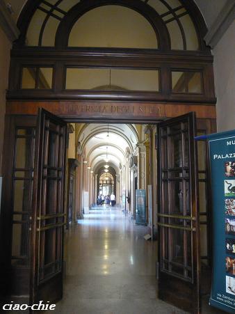 UNIVERSITA' DEGLI STUDI.JPG