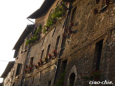 .assisi.JPG