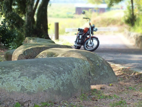 石が並んでます