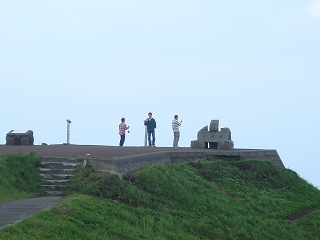 仲間です