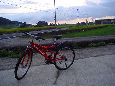 自転車で散歩