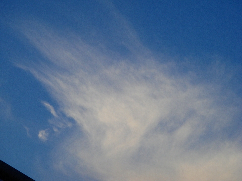 秋の空