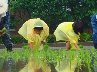 みんな
