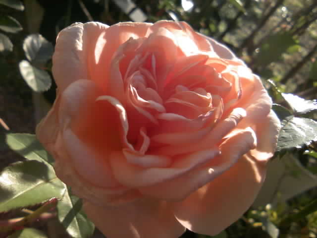 2008-12-18 21:51:24