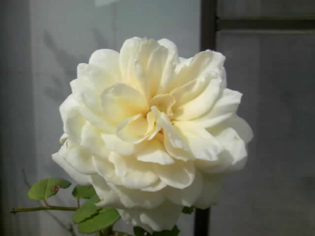 2008-09-29 16:55:00