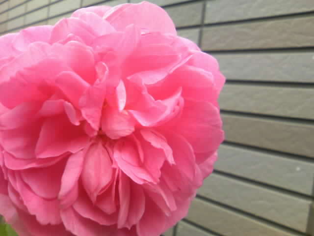2008-12-03 19:16:43