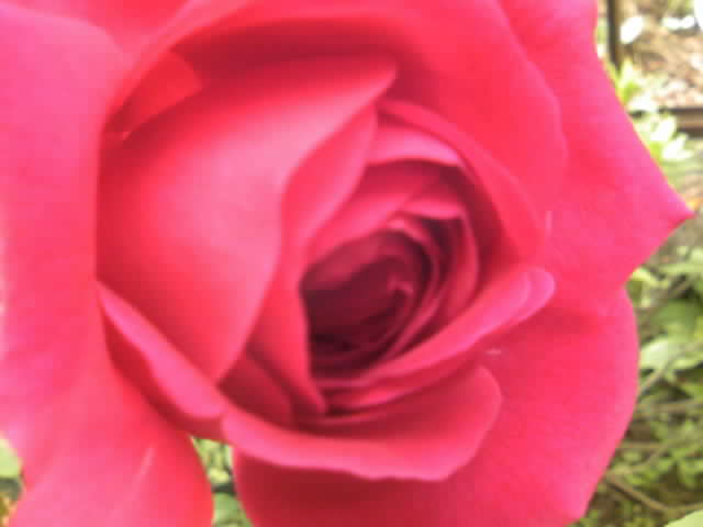 2008-12-02 23:14:37