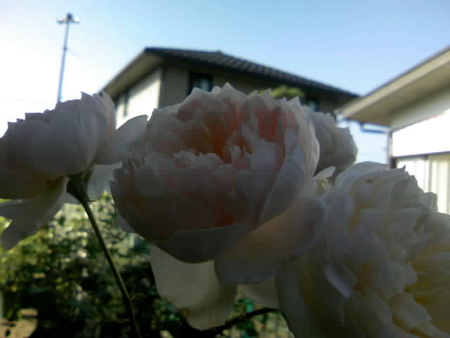 2008-09-14 22:29:02