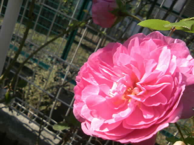 2008-12-03 19:16:43