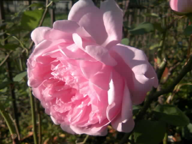2008-12-23 21:09:28