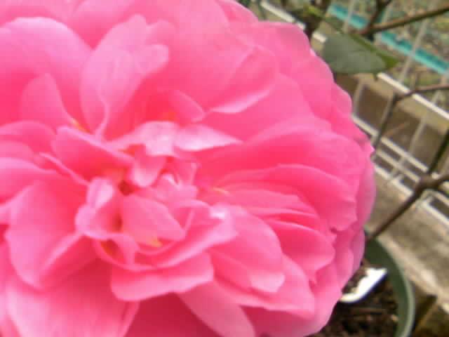 2008-12-03 19:16:43