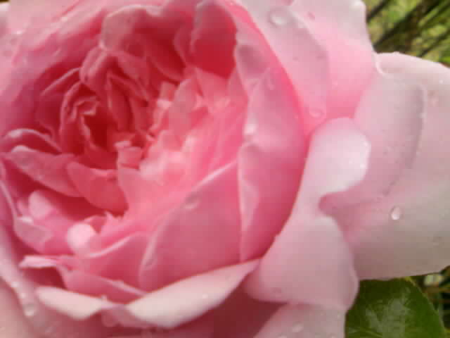 2008-12-23 21:09:28