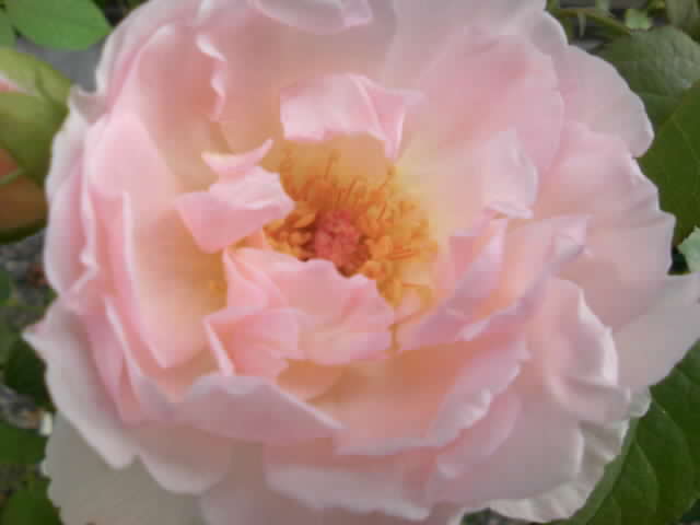 2008-12-28 18:18:43