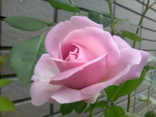 2008-09-29 17:20:37