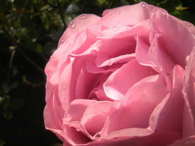 2008-12-22 21:11:28