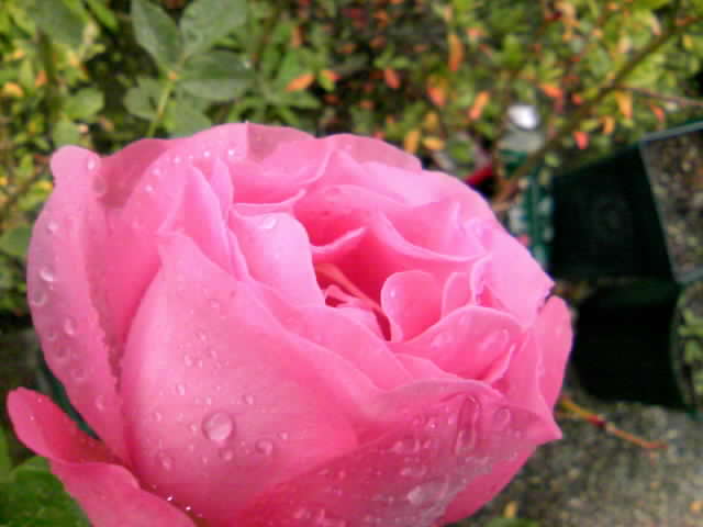 2008-12-22 21:11:28