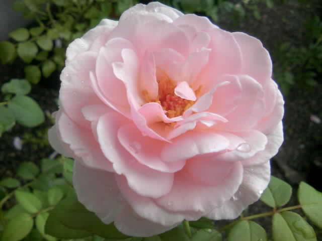 2008-09-01 19:23:13